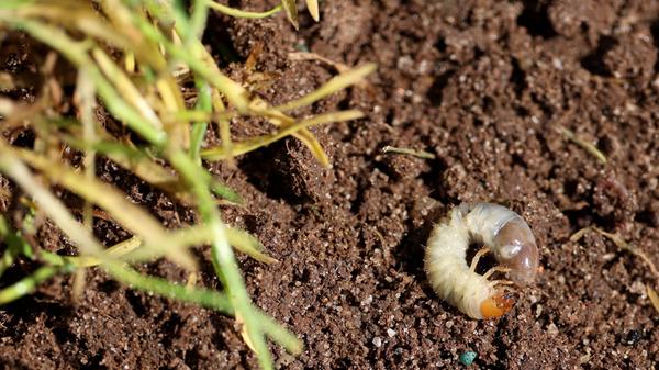 imago images 1014392293