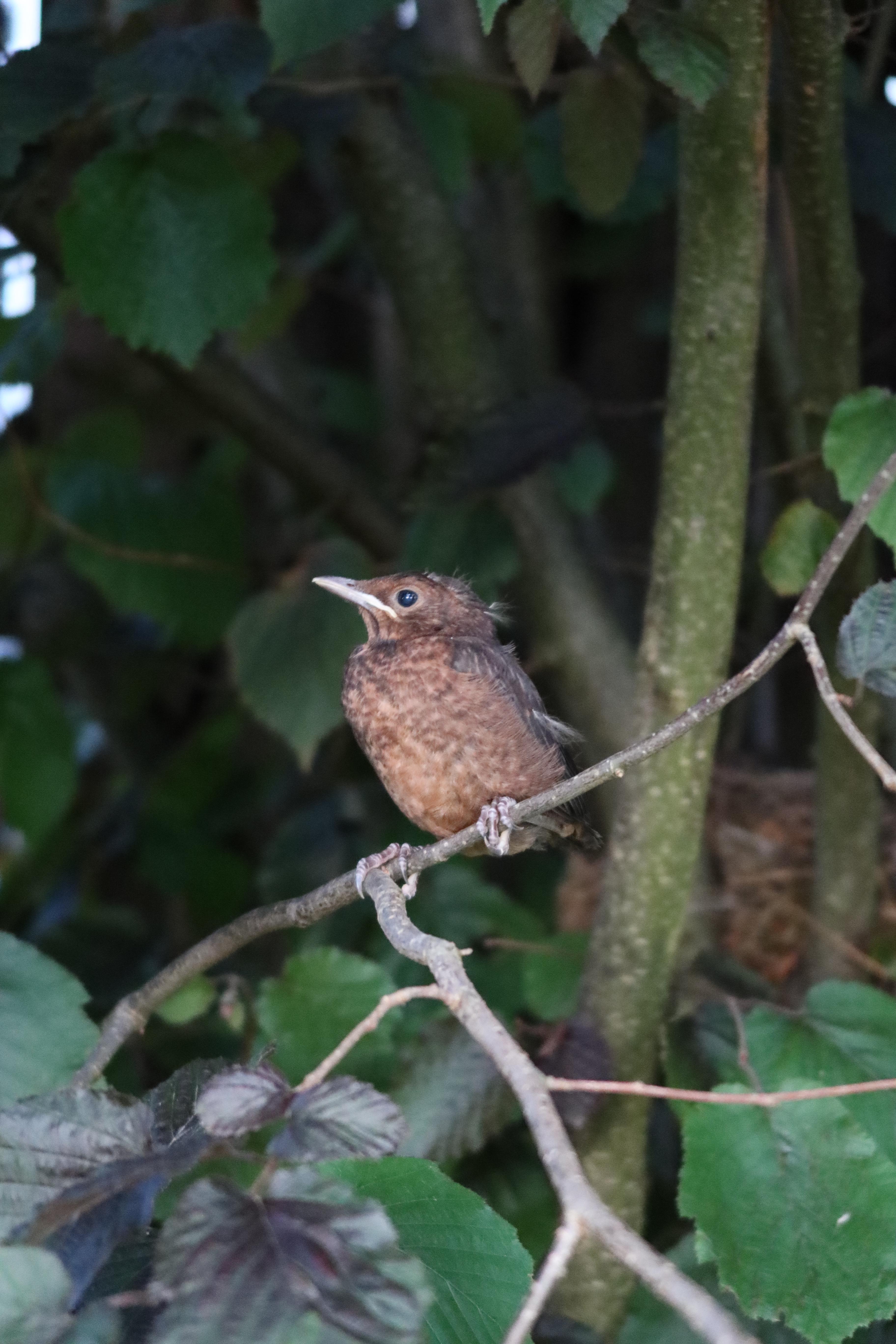 20220627204035_IMG_0027 (1).JPG