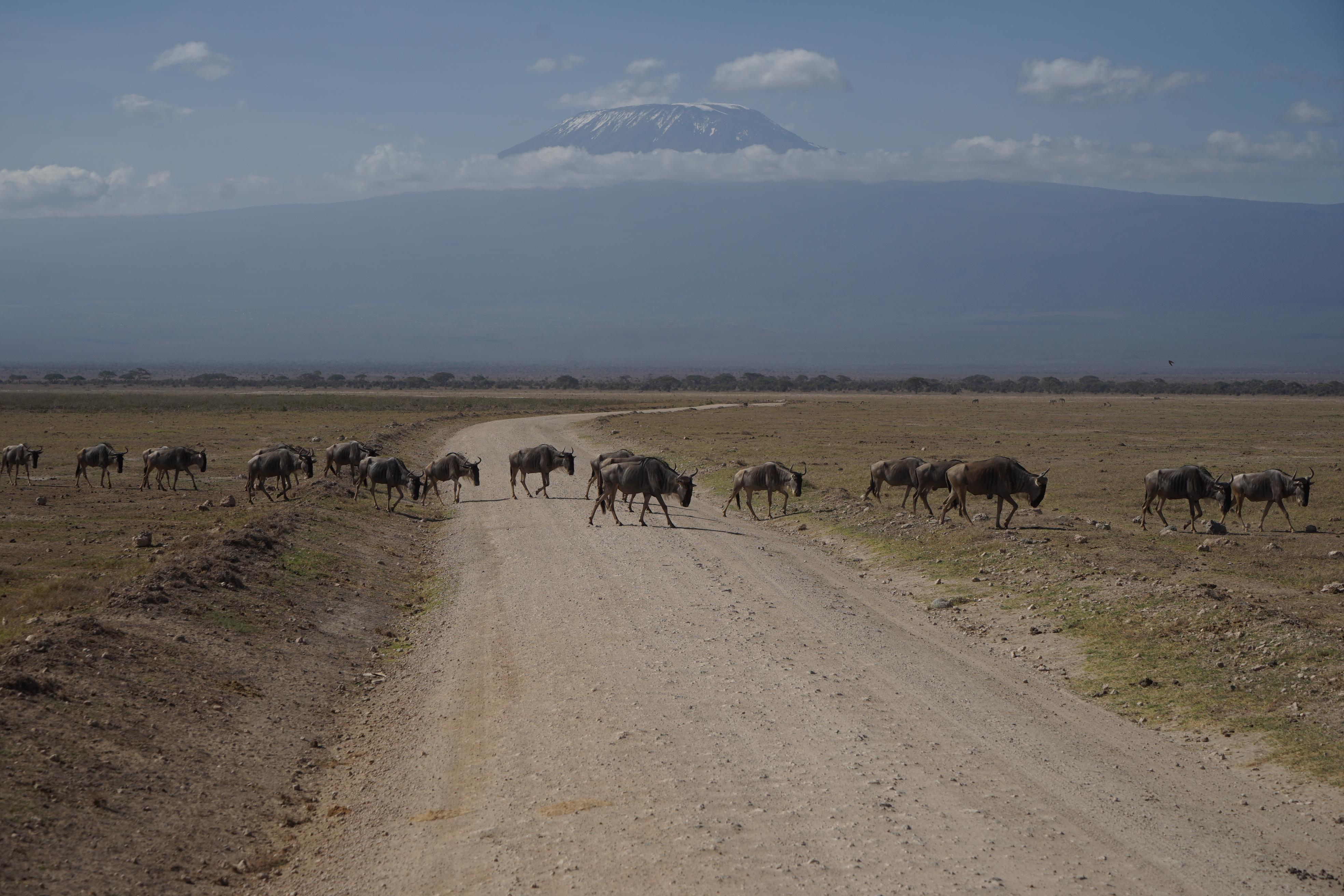 Es fällt weniger Schnee als früher - und damit reduziert sich auch das Schmelzwasser, das sonst ganzjährig die umliegenden Gebiete versorgte.
