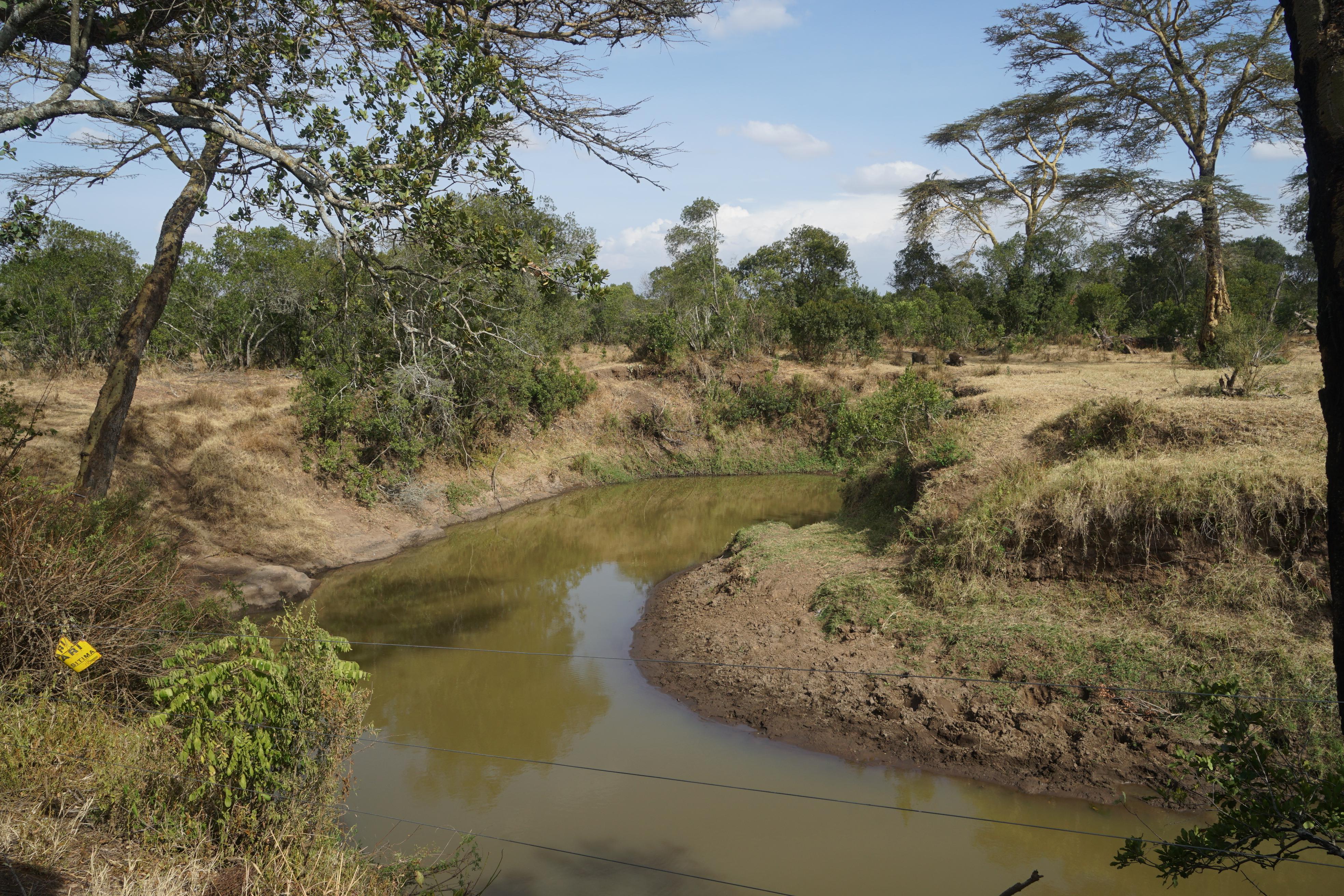 Zwei Flüsse kreuzen das Schutzgebiet. An manchen Stellen führen sie noch Wasser...