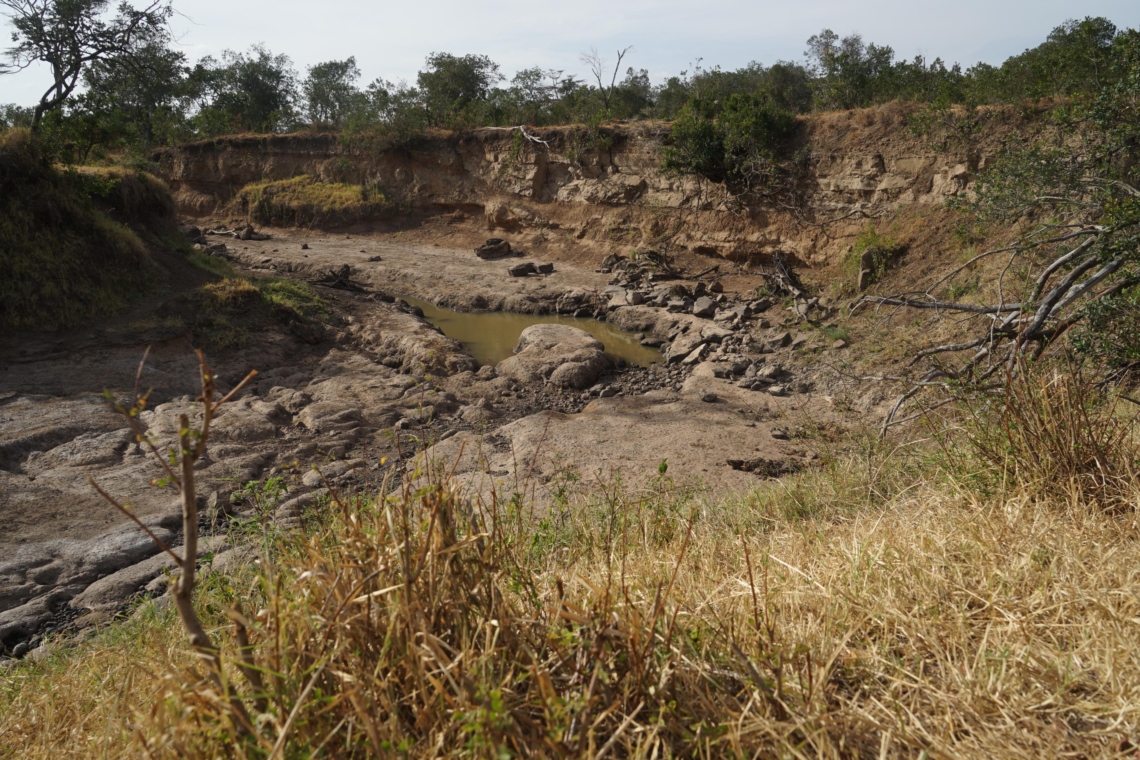 Ihre Lage ist prekär. Denn nur wenige Meter weiter sieht der Fluss bereits so aus.