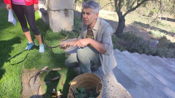 Genauso wie die vielen verschiedene Kräuter, die Naturkundler Miguel bei einer Wanderung durch das Naturschutzgebiet zeigt.