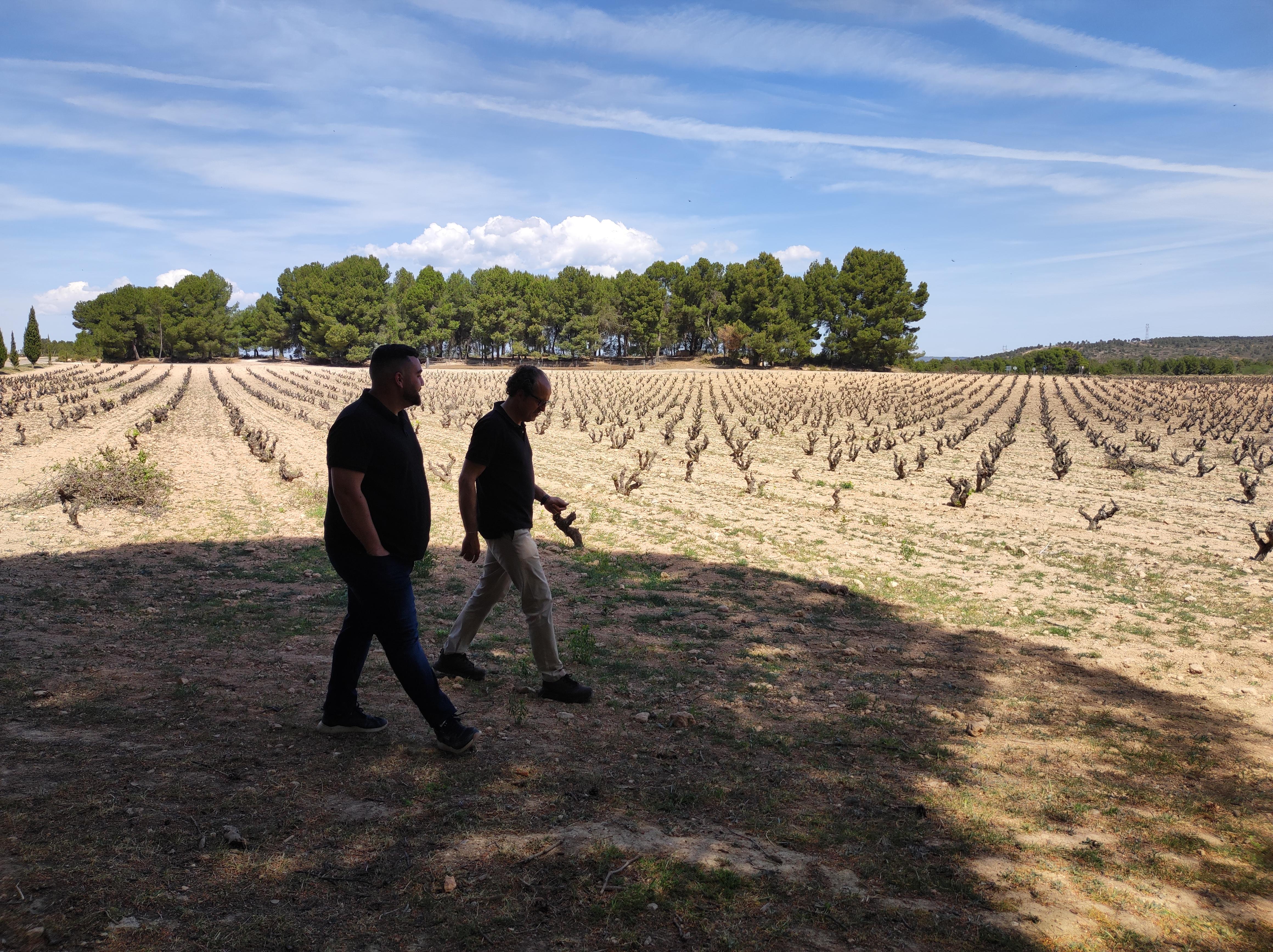 Velasques hat schon vor 20 Jahren auf bio umgestellt und ist seit kurzem auch demeterzertifiziert. 