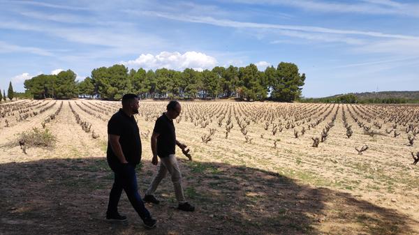 Velasques hat schon vor 20 Jahren auf bio umgestellt und ist seit kurzem auch demeterzertifiziert.