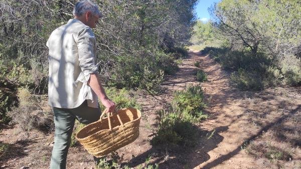 Valencia: Die Freuden des Landlebens