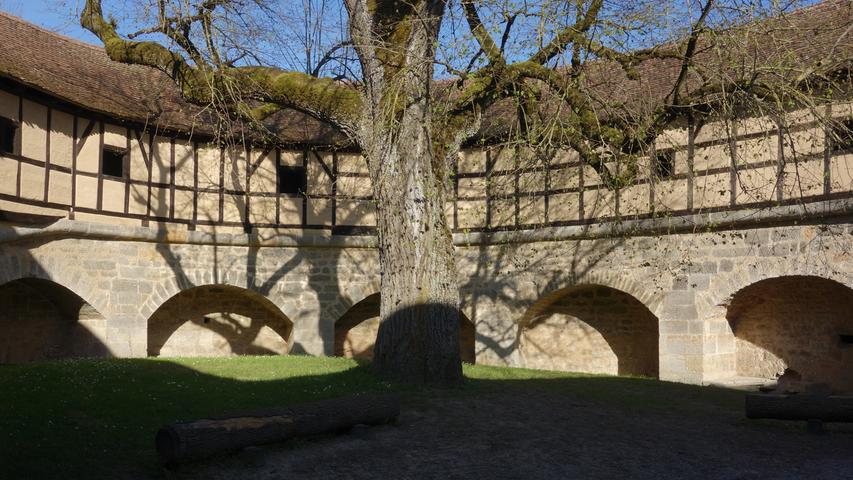 Das Licht der tiefstehenden Sonne taucht den oberen Teil eines alten Baumes am Spitaltor in Rothenburg in warmes Licht. Mehr Leserfotos finden Sie hier