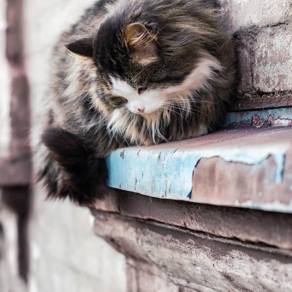 weitere interessante Themen: