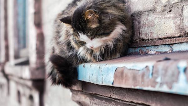 imago images 0241643089