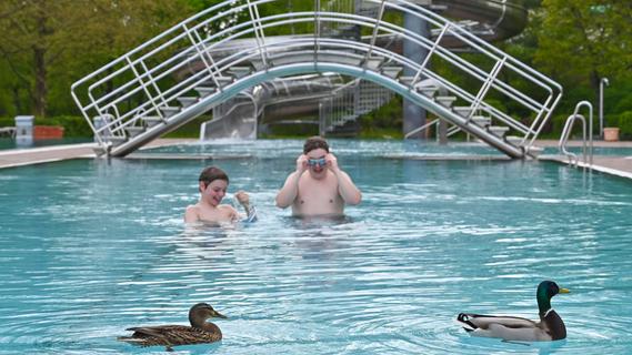 Freibad-Öffnung in Hilpoltstein: Hartgesottene Wasserratten ziehen mit Entenpaar ihre Bahnen