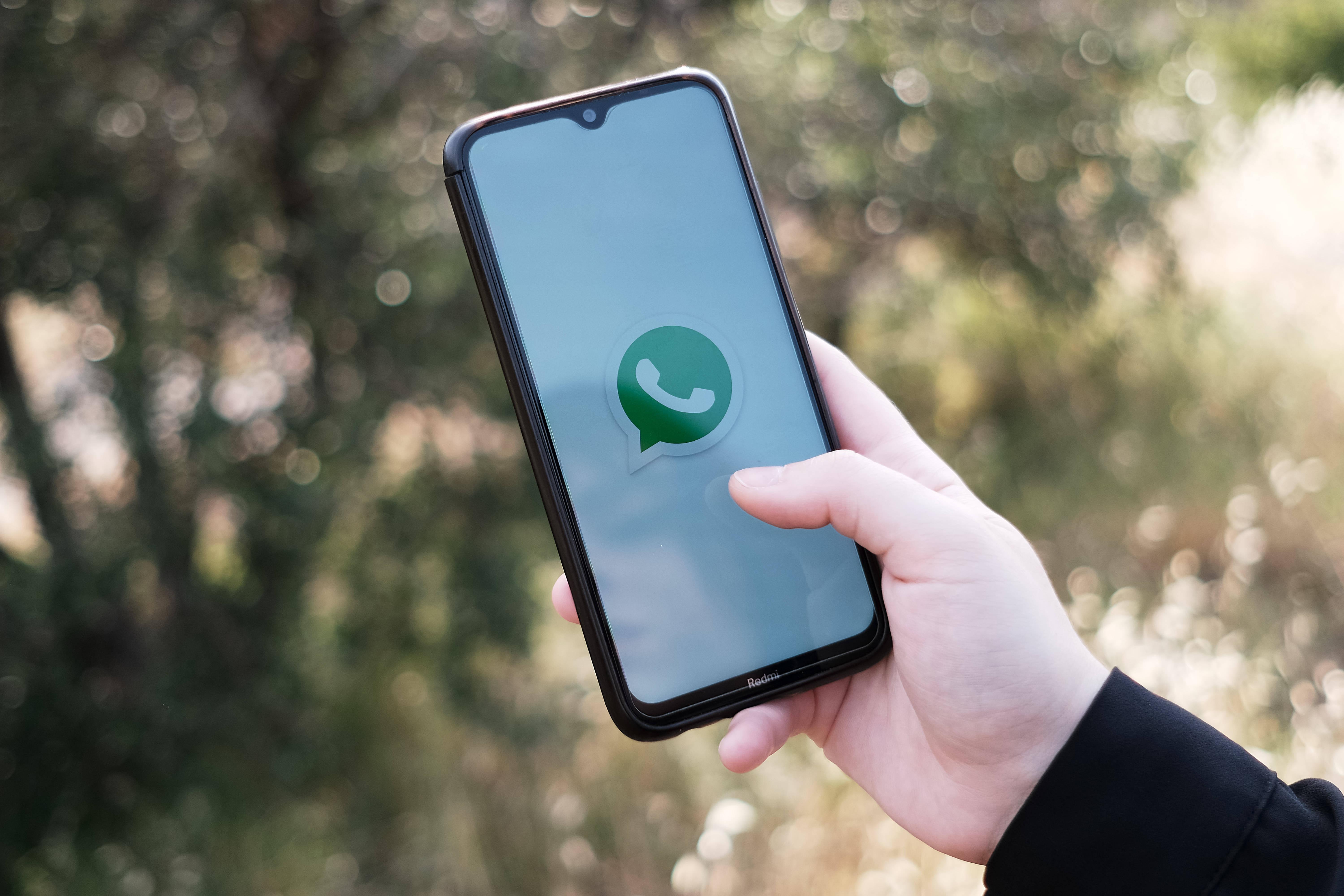ios 15 vibration einstellen WhatsApp Backup: Datensicherung für Chats, Fotos und Videos main image 0