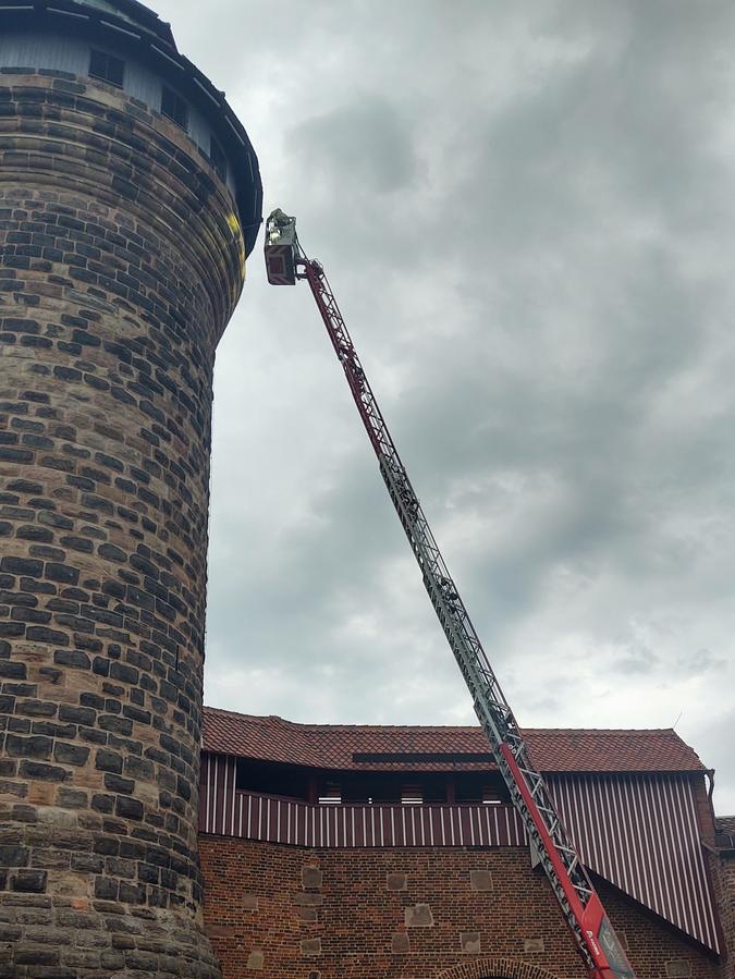 Um einen gestürzten Wanderfalken zu retten, eilte die Feuerwehr zur Nürnberger Burg.