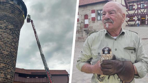 Junger Falke abgestürzt: Ungewöhnlicher Feuerwehreinsatz auf der Nürnberger Burg