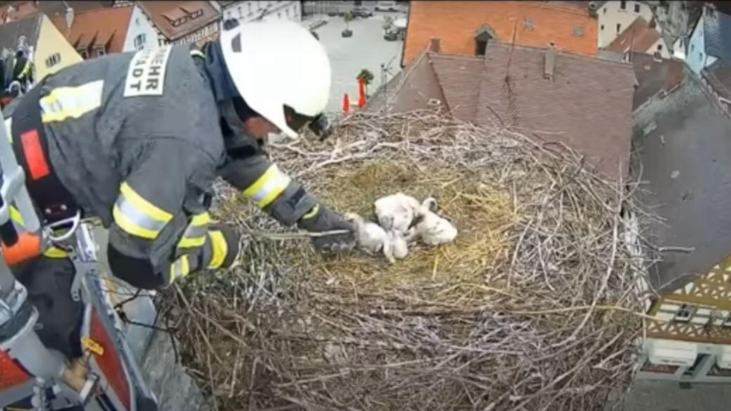 Die Live-Cam hat die Rettungsaktion aufgezeichnet, hier ein Bild aus dem Youtube-Video, das sie unten in diesem Artikel finden.