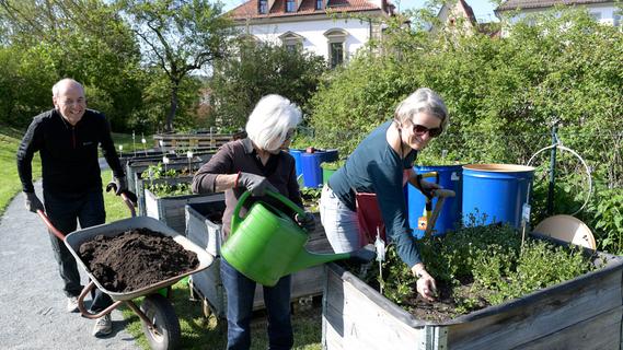 Urban Gardening in Forchheim: So trägt das Projekt zu einer lebenswerten Stadt bei