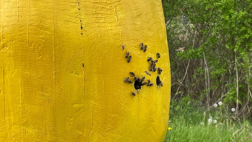 Auch für zahlreiche Tiere ist die Streuobst-Idylle ein Paradies. In diesem als Birne kreierten Holzstamm ist ein Bienennest untergebracht. 