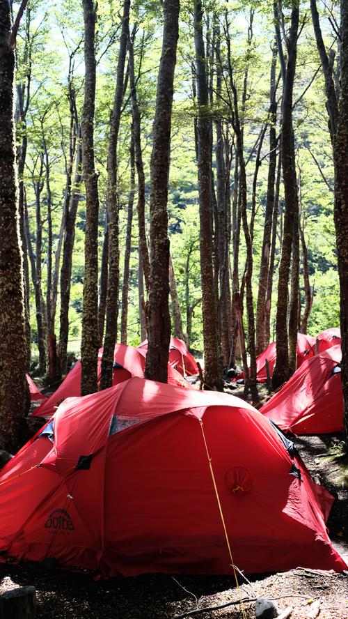 Der Campingplatz Los Perros gehört zu den schönsten entlang des O-Treks. Alle Zelte sind windgeschützt im Wald aufgebaut, in einer kleinen Hütte kann gekocht werden. 
