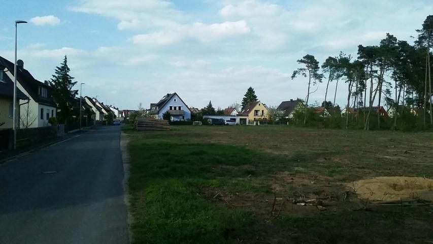 Soll der Privatwald Wohnbebauung weichen? Das ist das Ergebnis der Bürgerentscheide in Möhrendorf