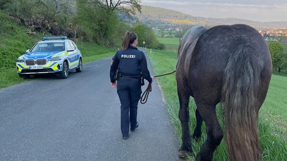 Pferd aus der Gemeinde Pommelsbrunn hält Polizei auf Trab