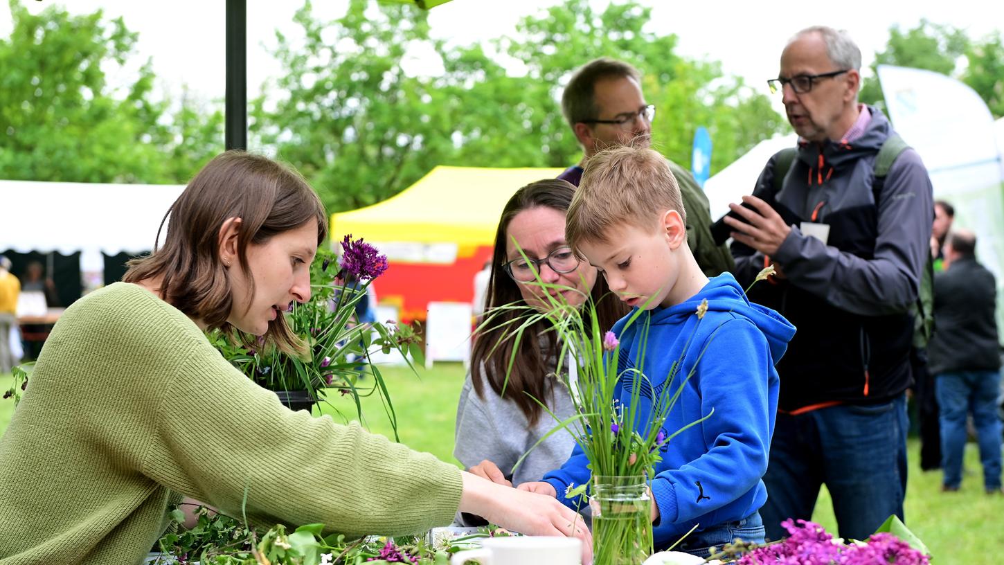 Regina Lauffer (links) vom Amt für Umwelt zeigte Tim (7) und seiner Mutter Diana Erlwein, wie man aus Blüten und Blättern einer artenreichen Wiese hübsche Kronen basteln kann.