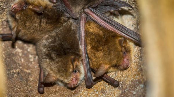 imago images 196615827