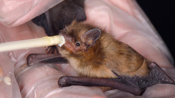 imago images 94124373