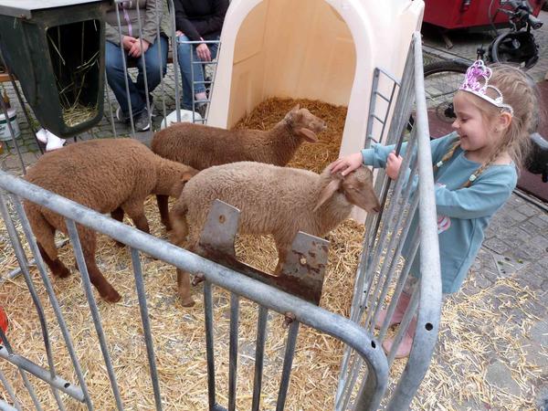 Ein kleiner Streichelzoo hatte wieder besondere Anziehungskraft für die Kinder.