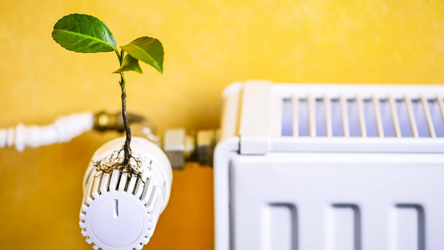 Wenn Sie an einem klimafreundlichen Projekt teilgenommen haben, haben Sie die Chance, einen Klimapreis zu gewinnen (Symbolbild). Wenn Sie an einem klimafreundlichen Projekt teilgenommen haben, haben Sie die Chance, einen Klimapreis zu gewinnen (Symbolbild).