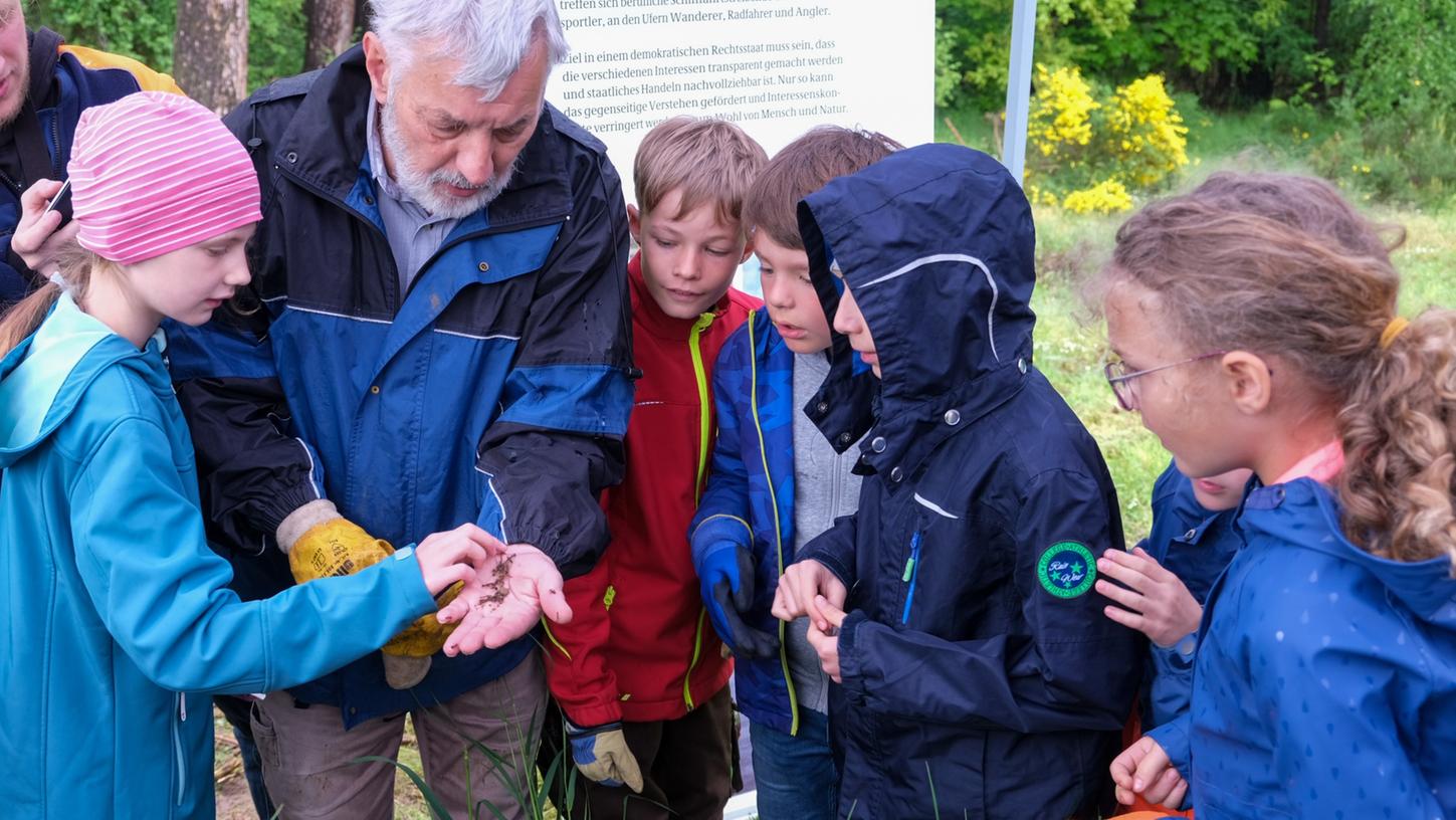 Die Kinder der Grundschule Frauenaurach begutachten Ameisen und Larven in der Hand von Hans Vogel. Er ist Mitglied bei den "Ameisenfreunden".