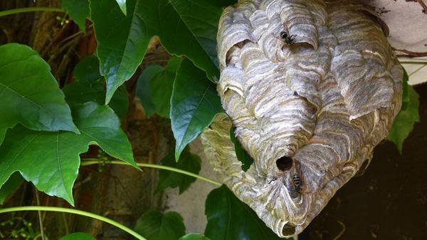 imago images 165677597