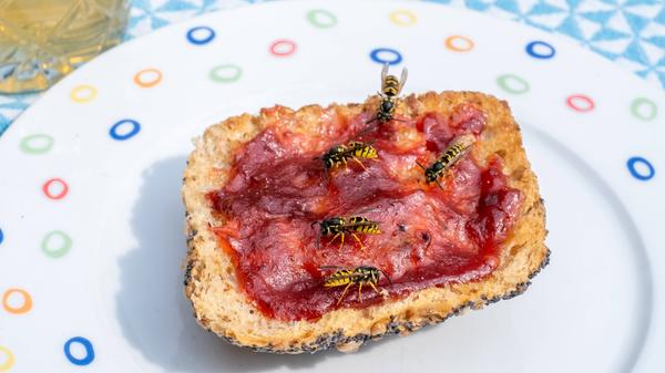 imago images 164184300