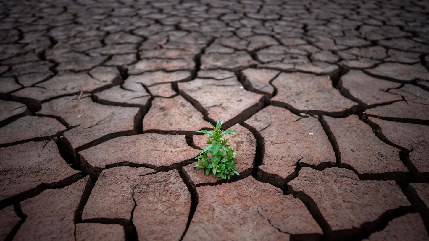 Die steigende Erderwärmung hat nicht nur Folgen für die Landwirtschaft (Symbolbild). Die steigende Erderwärmung hat nicht nur Folgen für die Landwirtschaft (Symbolbild).
