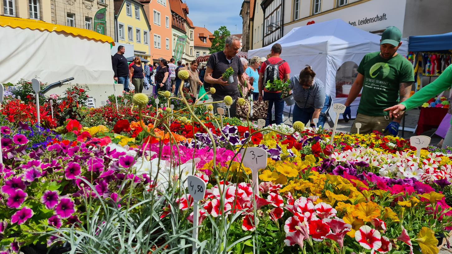Beim Forchheimer Jahrmarkt und verkaufsoffenen Sonntag im Mai vergangenen Jahres waren farbenprächtige Blumen angeboten.