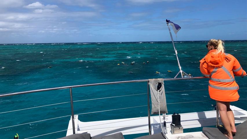 Aufpassen auf die Touristen im Wasser. Jeden Tag fahren Ausflugschiffe zum weltberühmten "Great Barrier Reef", um Taucher und Schnorchler eine weltberühmte Unterwasserlandschaft zu zeigen. 