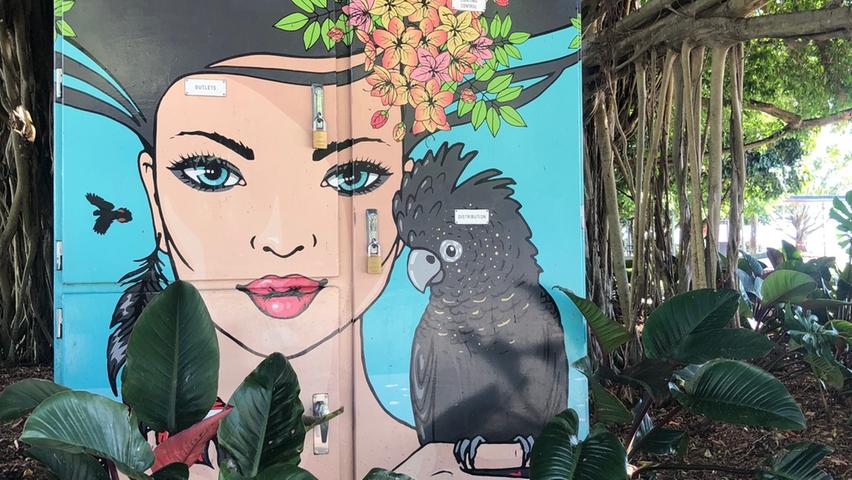 Straßenkunst mit Kakadu in Cairns.