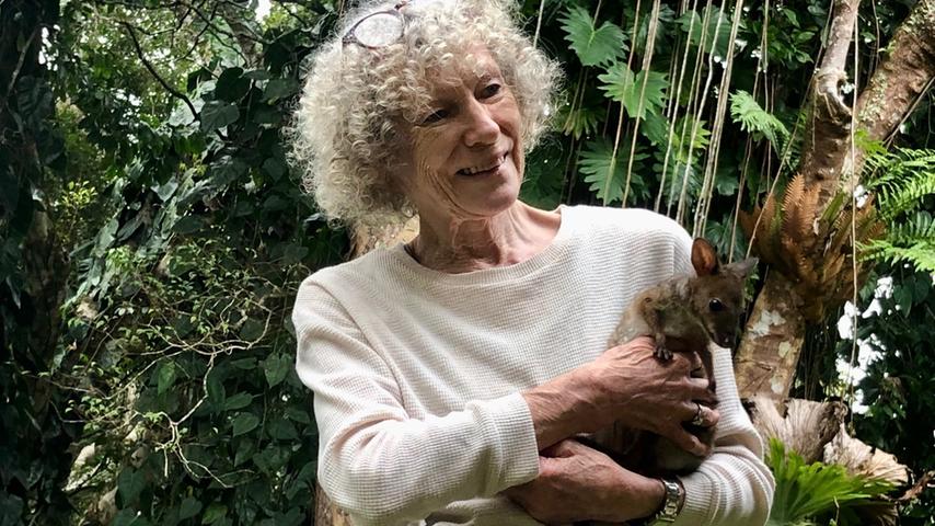 Margit Cianelli lebt mitten in den Tablelands an der Straße Richtung Küste und kam vor 51 Jahren nach Australien. Seit vielen Jahren päppelt sie kleine Kängurus und andere Beuteltiere auf.