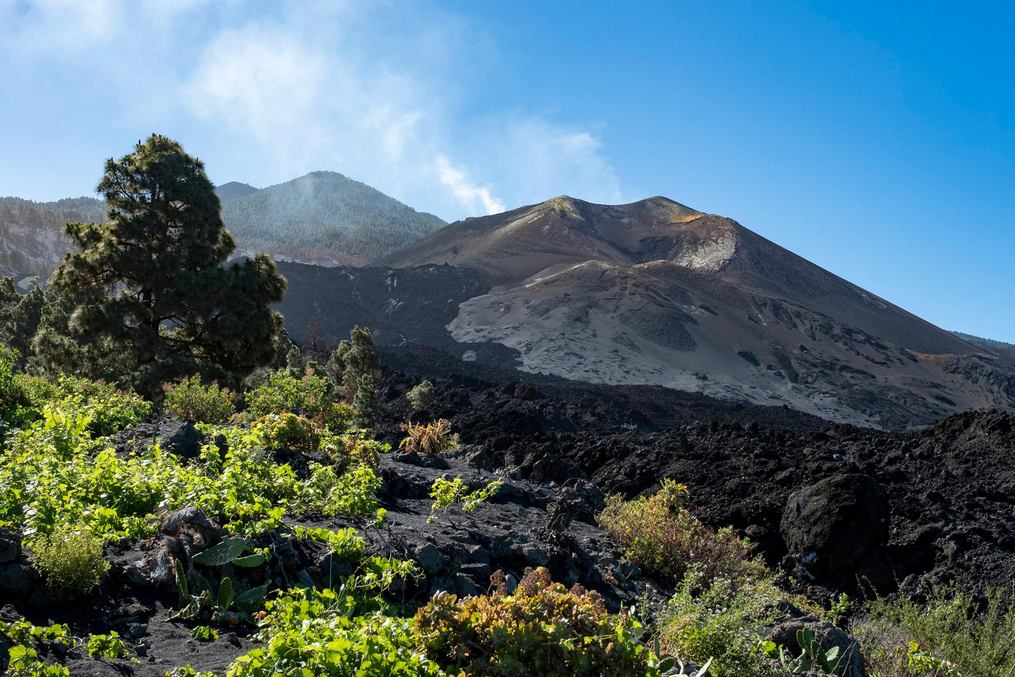 LaPalma_di_018.jpg