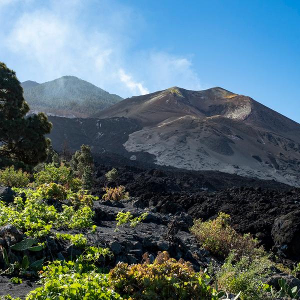 LaPalma_di_018.jpg