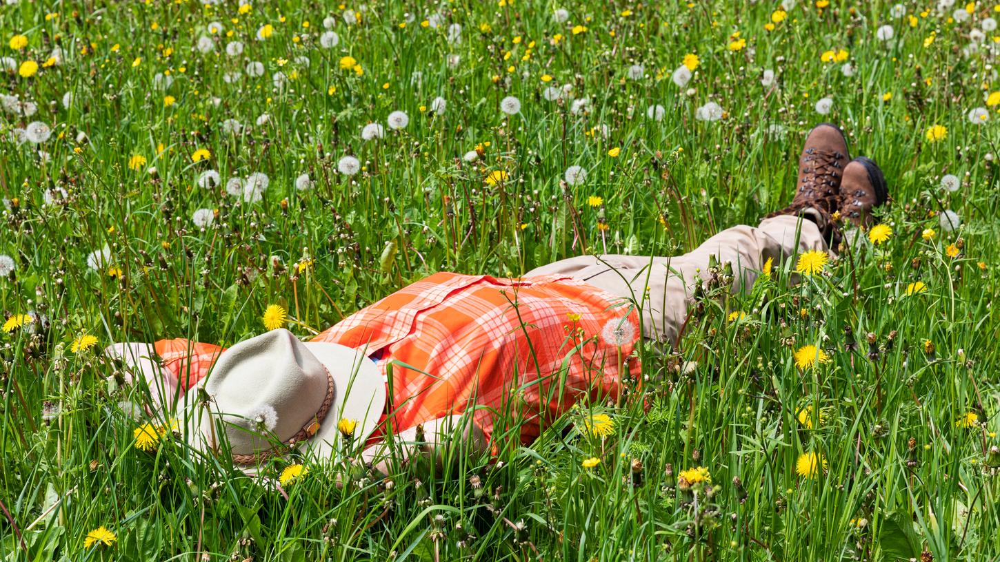 Verständigungsprobleme und ein schlafender Reisegast haben im unterfränkischen Landkreis Kitzingen zu einem größeren Einsatz von Polizei und Rettungskräften geführt. (Symbolbild) Verständigungsprobleme und ein schlafender Reisegast haben im unterfränkischen Landkreis Kitzingen zu einem größeren Einsatz von Polizei und Rettungskräften geführt. (Symbolbild)