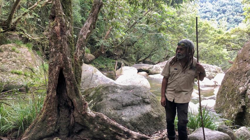 Beim Spaziergang mit Yungunda durch den Daintree-Regenwald erfährt man viel über den mit auf etwa 180 Millionen Jahre geschätzten ältesten Regenwald der Welt.