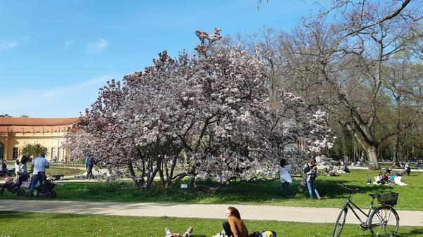 Der Erlanger Schlossgarten gilt als eine der frühesten barocken Gartenanlagen Frankens. Im Juni findet hier als gesellschaftlicher Höhepunkt das Schlossgartenfest der Universität statt.