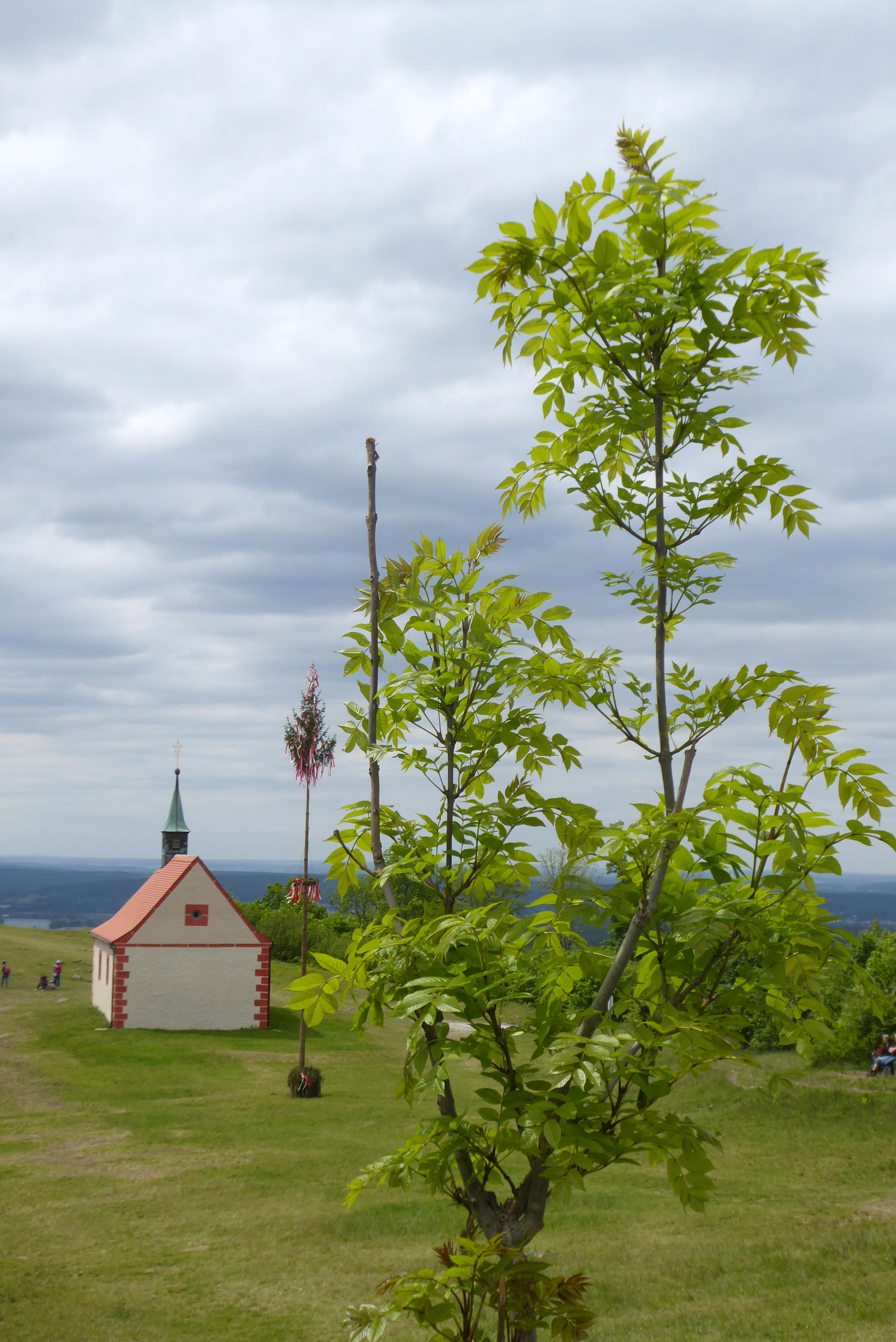 Aufgenommen am Walberla-Plateau mit einem seltenen Blick auf die Walpurgiskapelle und dem Maibaum. 