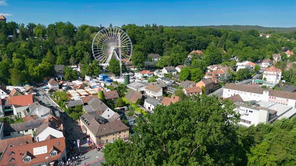Unter alten, mit Lampions geschmückten Kastanienbäumen können die Gäste kühles Festmärzenbier aus steinernen Krügen, fränkische Spezialitäten und Gerichte aus aller Welt genießen.