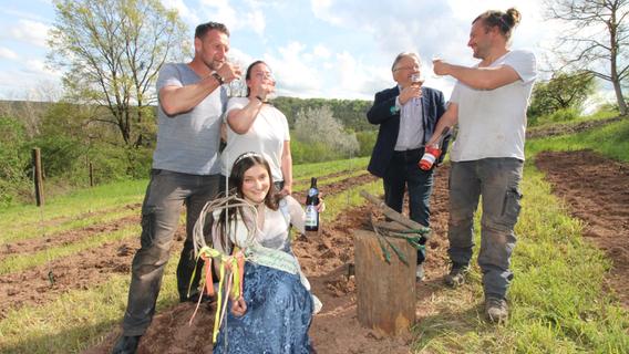 1000 neue Reben gepflanzt: Großweingarten wird seinem Namen immer gerechter