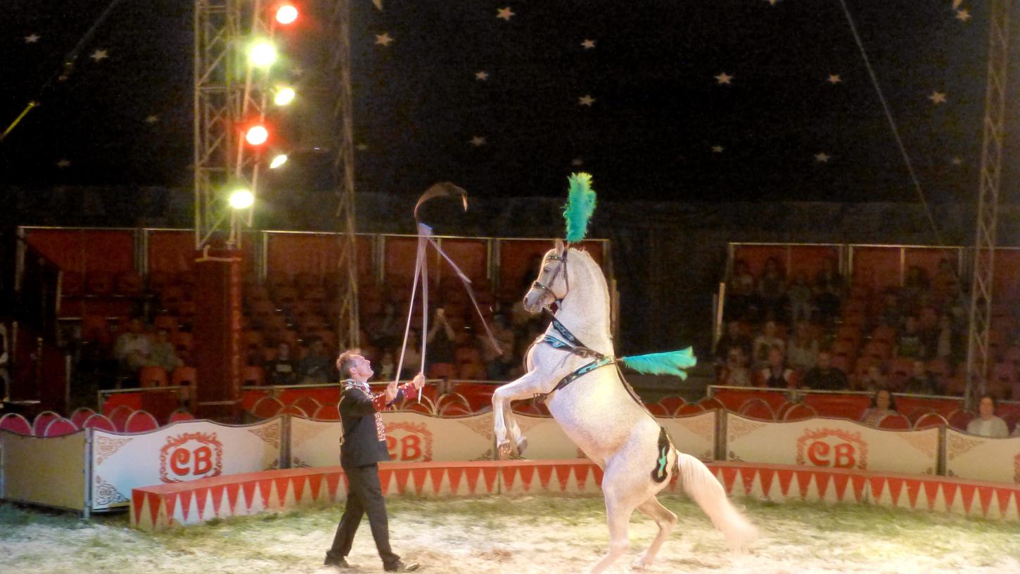 Tiere gehören bei "Barnum" dazu. Tiere gehören bei "Barnum" dazu.