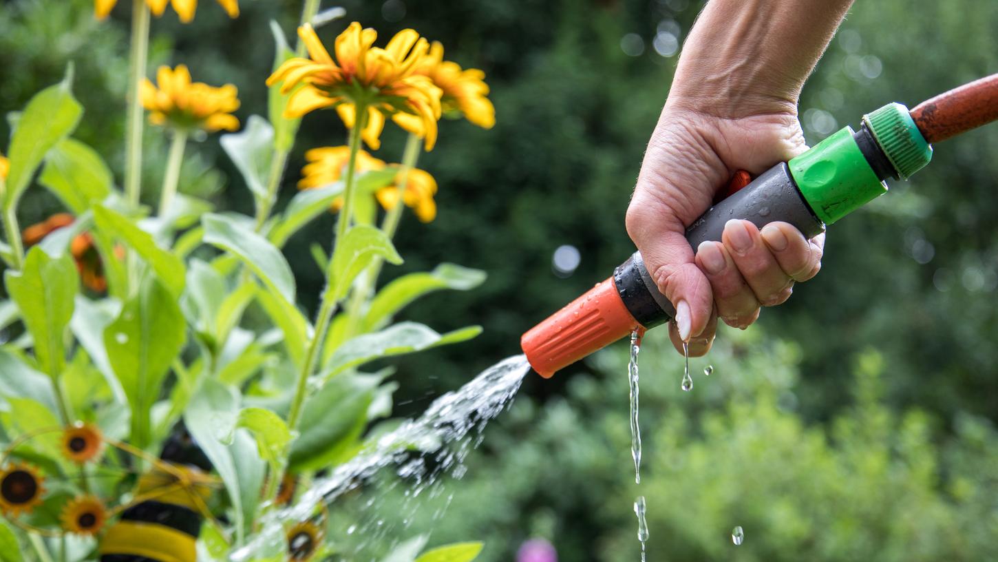 Selbst Gartenpflanzen brauchen in trockenen Zeiten unsere Hilfe und Gießwasser. Aber man kann ihnen helfen, sich besser selbst versorgen zu können.