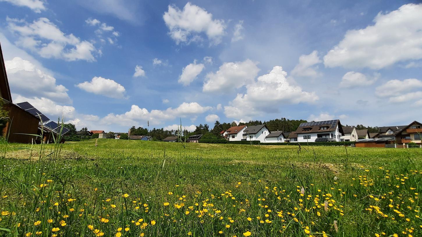 Auf dieser Grünfläche zwischen Dorf und Siedlung soll das neue Baugebiet Ohrenbach-Mitte entstehen.