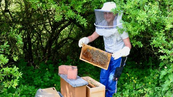 Einer der jüngsten Imker Bayerns: Wie der Schwabacher Julian Thoma (15) zum Bienenzüchter wurde