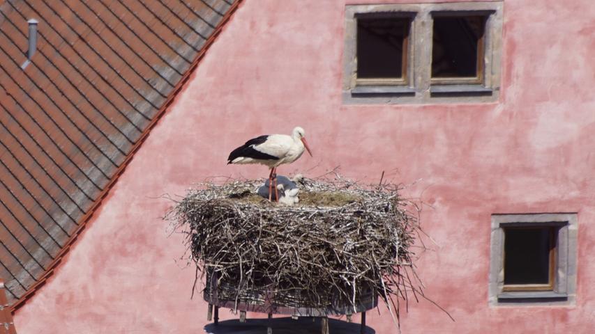 Blick vom Kirchturm auf das Nest. Blick vom Kirchturm auf das Nest.