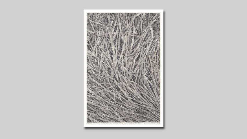 CHRISTINE METZ Grass (2022) 53 x 35 cm Bleistift auf Papier