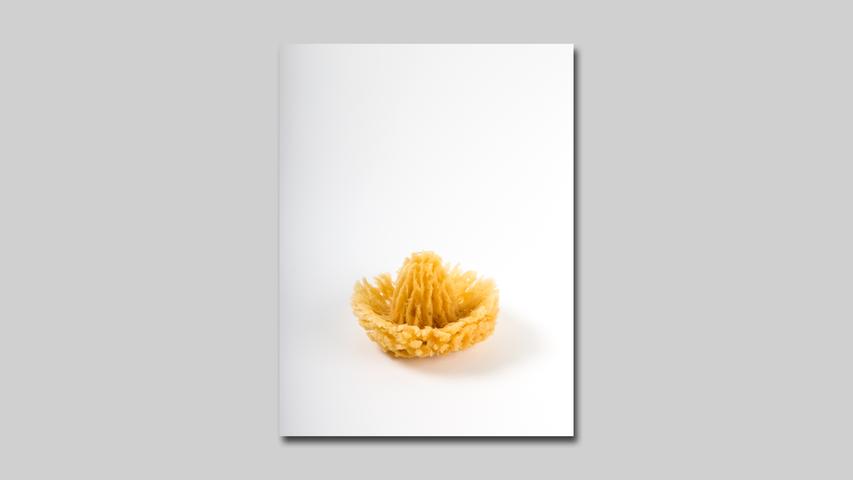 STELLA WANISCH Presse (2021) 12 x 12 x 8 cm Naturschwamm, geschnitzt STELLA WANISCH Presse (2021) 12 x 12 x 8 cm Naturschwamm, geschnitzt